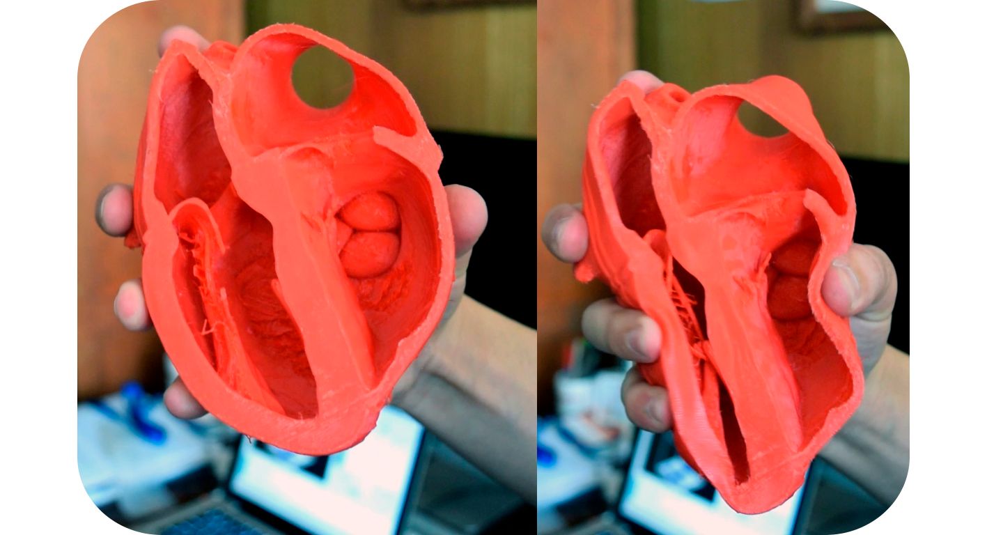 Corazón 3D impreso con filamento 3D flexible por una impresora Axis One